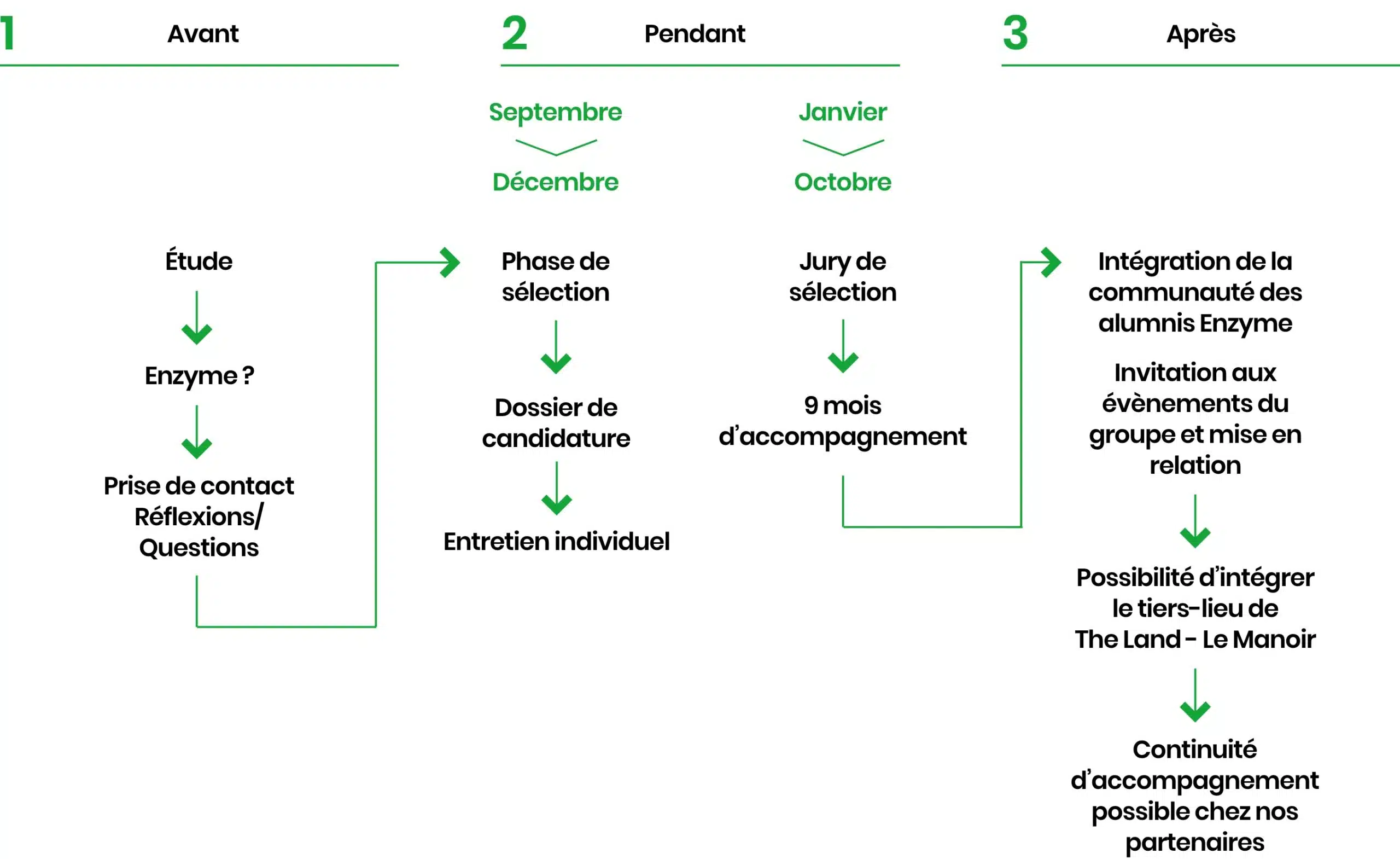 schema-enzyme