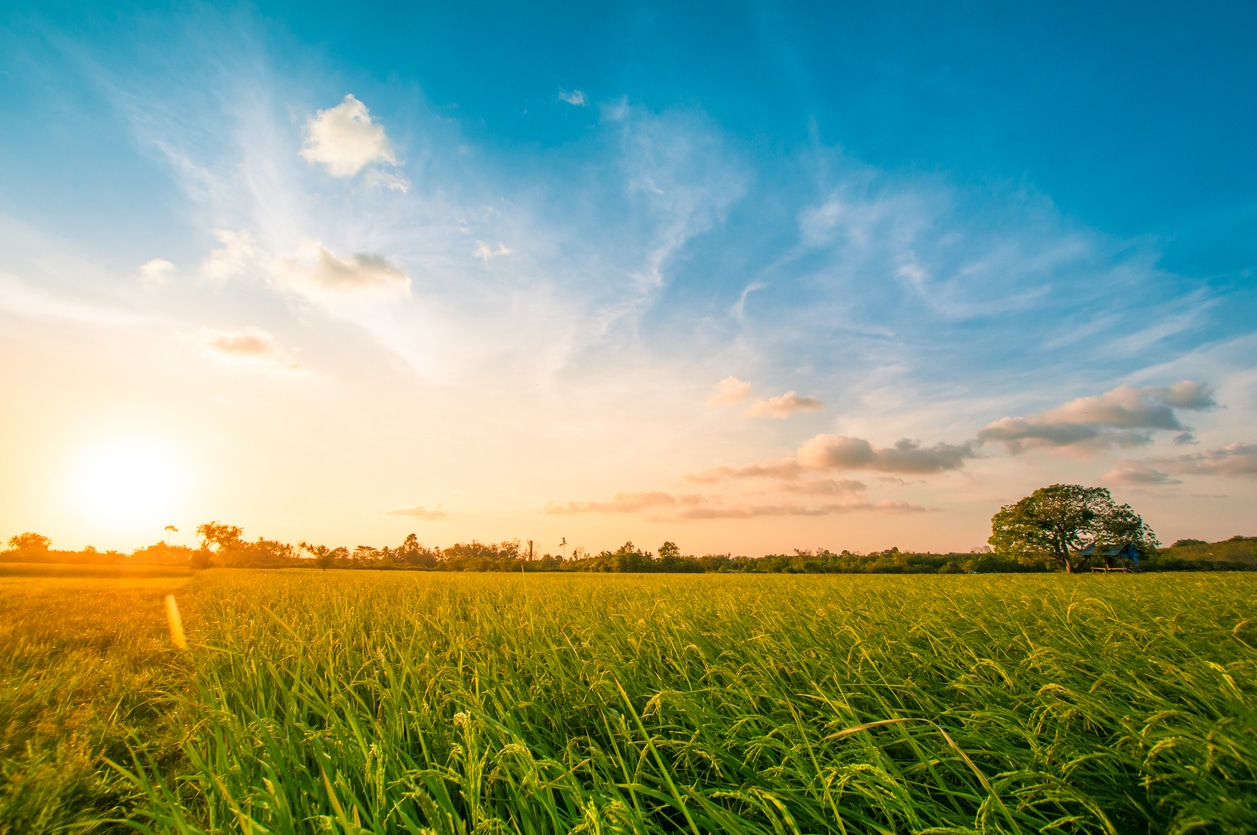 formation dans la transition environnementale