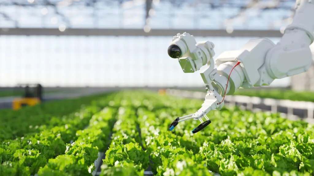 Découvrez les tendances d' AgriTech qui améliorent la durabilité et la rentabilité de l'agriculture numérique de précision.